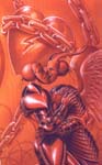 rotgmisc8