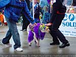 Dsc09986
